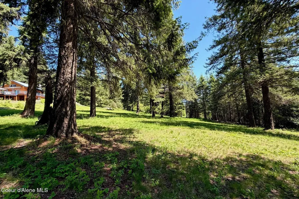 185 Larchwood Drive Sagle ID 83860