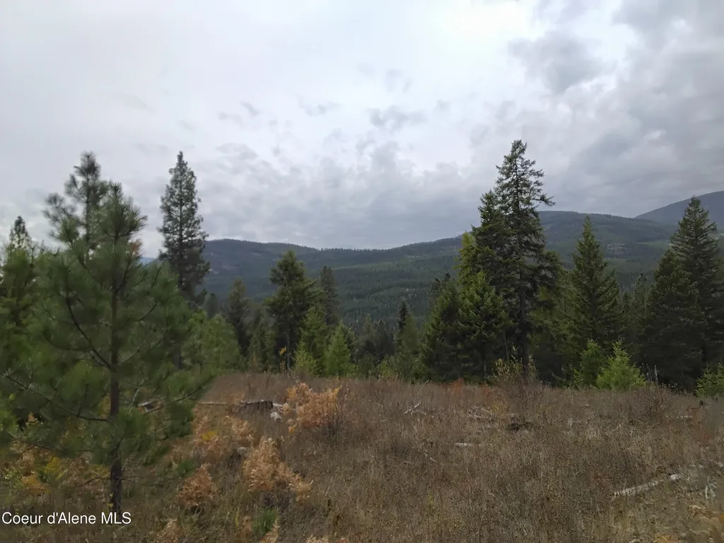 NKA-292 Ac Highway 2 Moyie Springs ID 83845