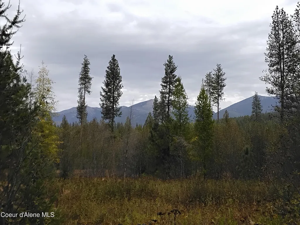 NKA-292 Ac Highway 2 Moyie Springs ID 83845