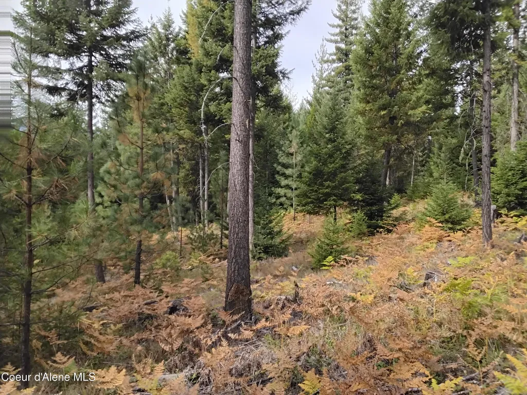 NKA-292 Ac Highway 2 Moyie Springs ID 83845