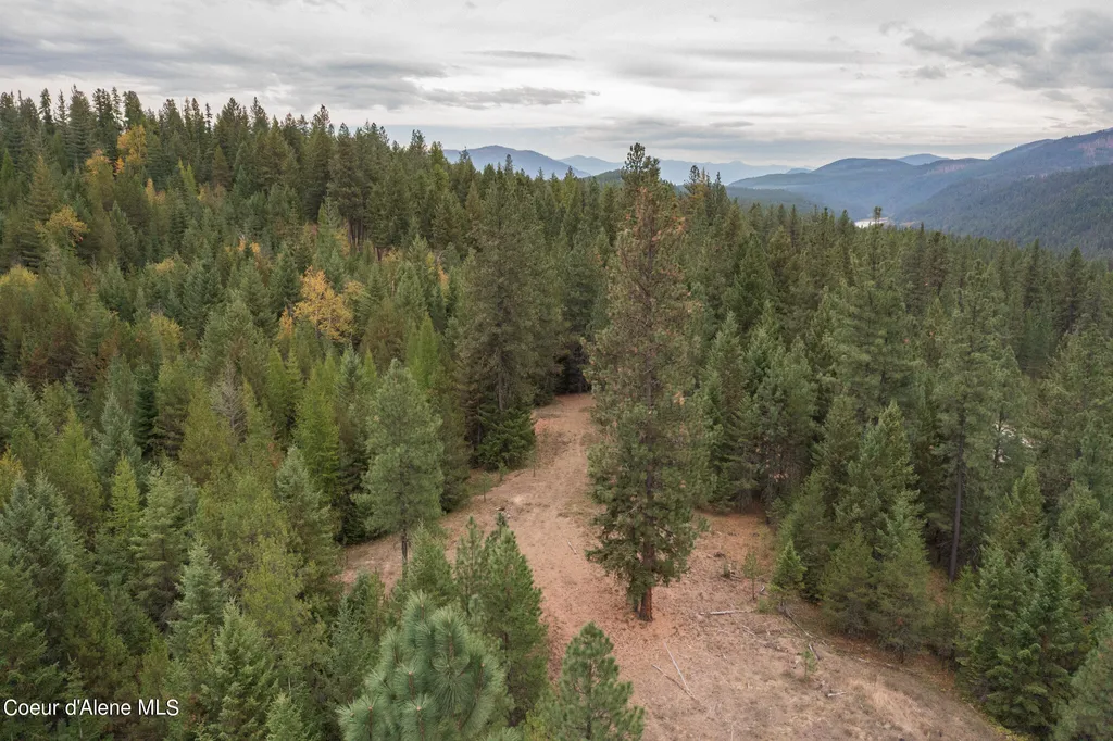 NKA-292 Ac Highway 2 Moyie Springs ID 83845