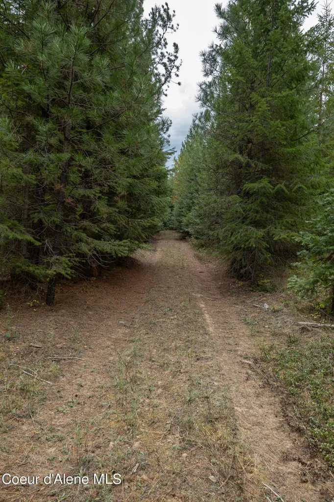 NKA-292 Ac Highway 2 Moyie Springs ID 83845