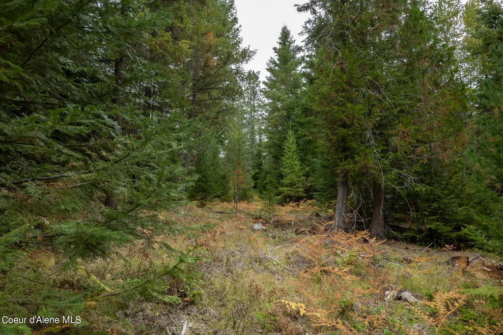 NKA-292 Ac Highway 2 Moyie Springs ID 83845