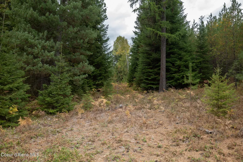 NKA-292 Ac Highway 2 Moyie Springs ID 83845
