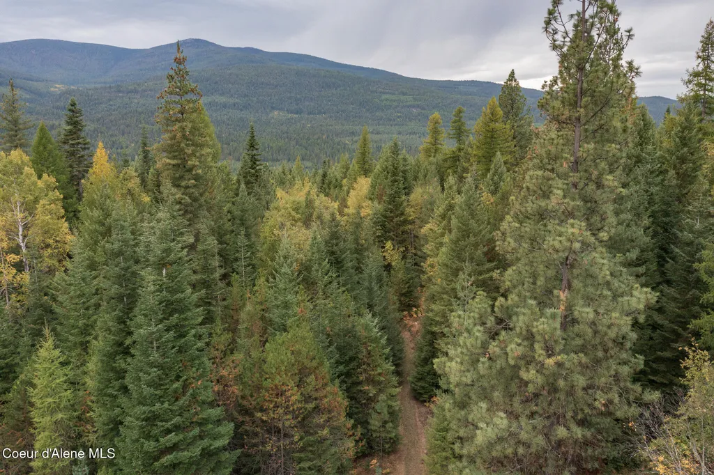 NKA-292 Ac Highway 2 Moyie Springs ID 83845