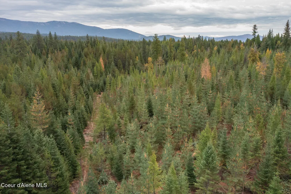 NKA-292 Ac Highway 2 Moyie Springs ID 83845