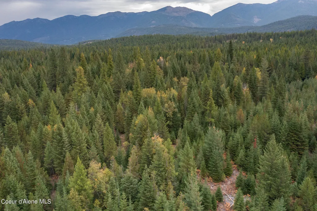 NKA-292 Ac Highway 2 Moyie Springs ID 83845