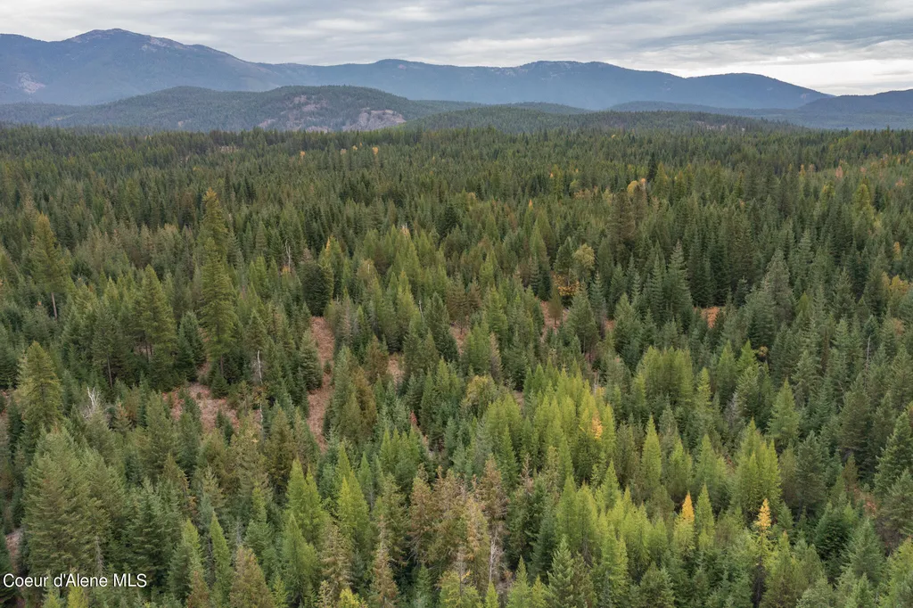 NKA-292 Ac Highway 2 Moyie Springs ID 83845