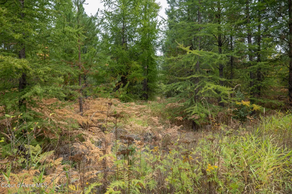 NKA-292 Ac Highway 2 Moyie Springs ID 83845