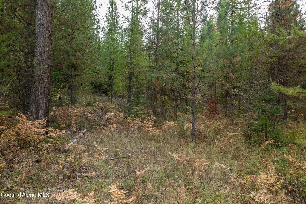 NKA-292 Ac Highway 2 Moyie Springs ID 83845