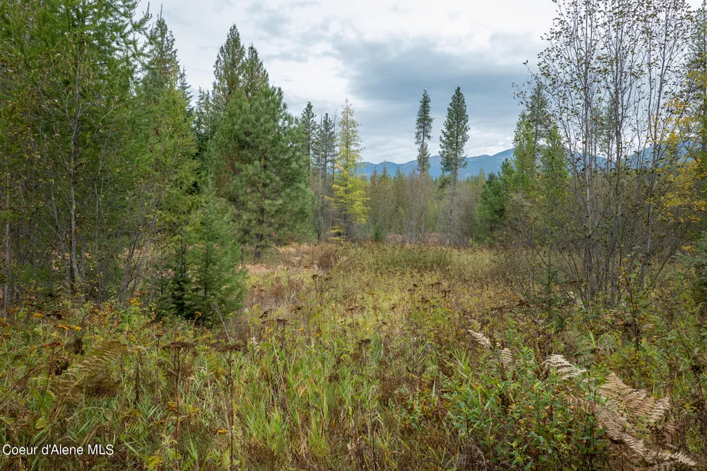 NKA-292 Ac Highway 2 Moyie Springs ID 83845