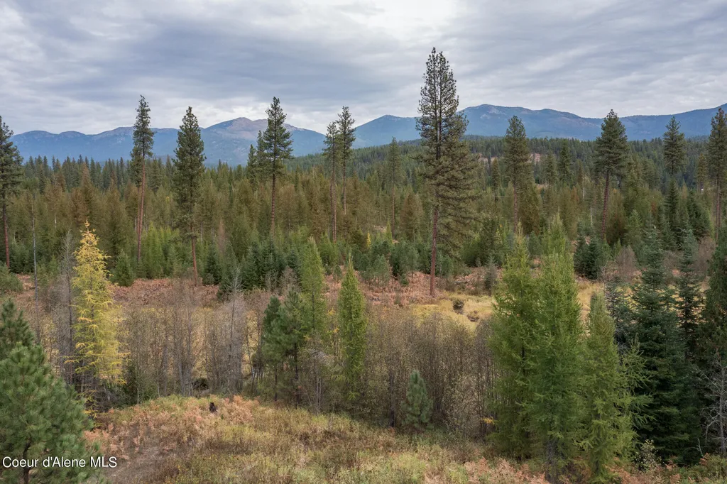NKA-292 Ac Highway 2 Moyie Springs ID 83845