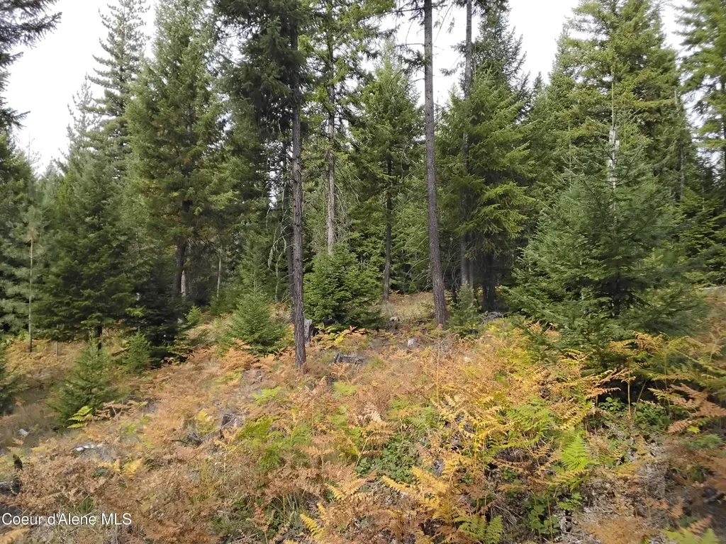 NKA-292 Ac Highway 2 Moyie Springs ID 83845