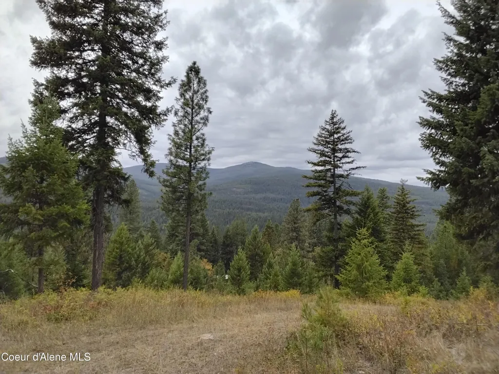 NKA-292 Ac Highway 2 Moyie Springs ID 83845