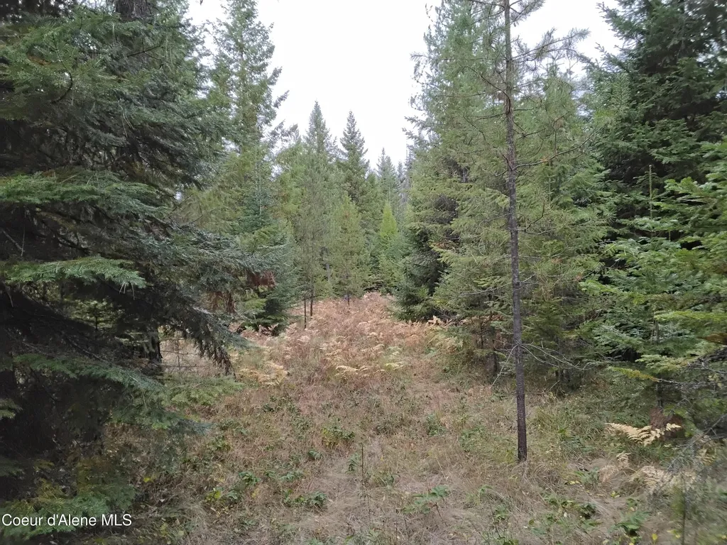 NKA-292 Ac Highway 2 Moyie Springs ID 83845