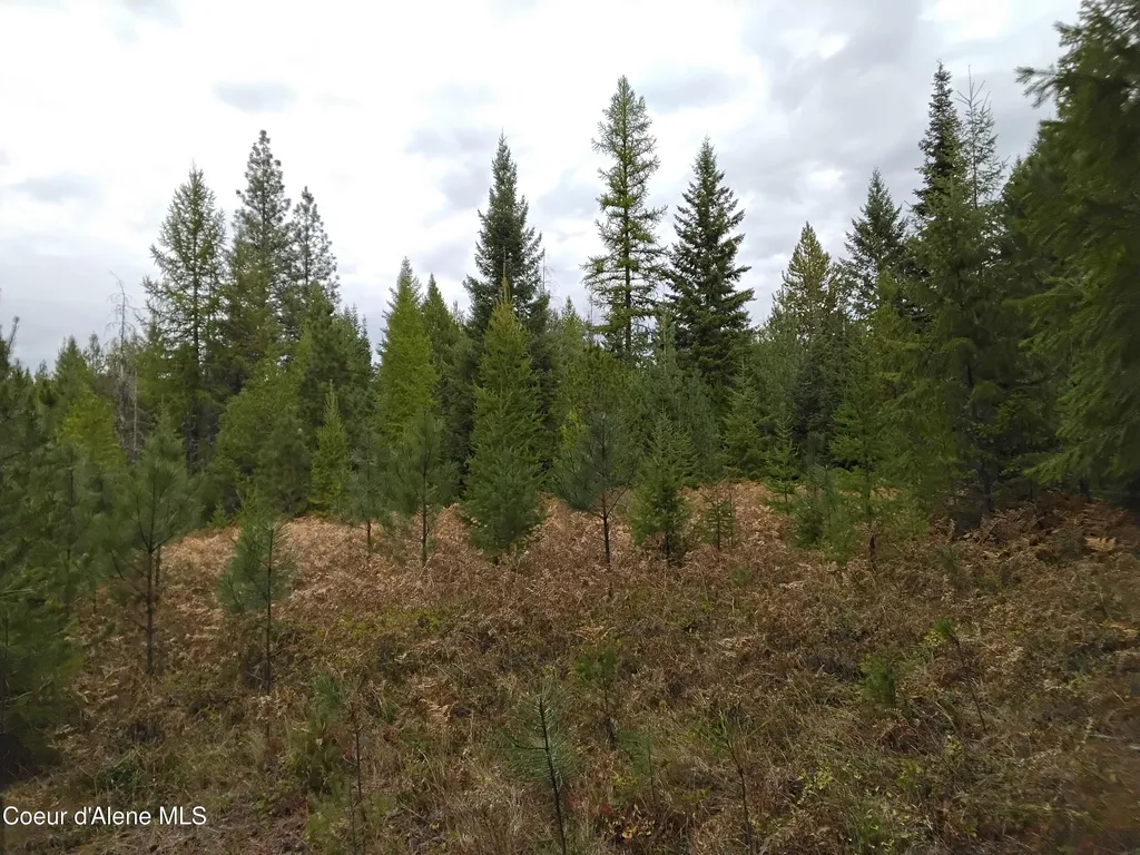 NKA-292 Ac Highway 2 Moyie Springs ID 83845