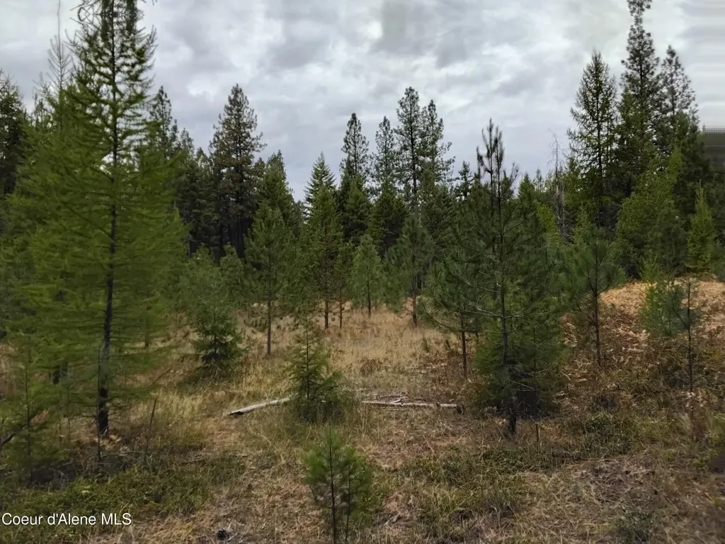 NKA-292 Ac Highway 2 Moyie Springs ID 83845