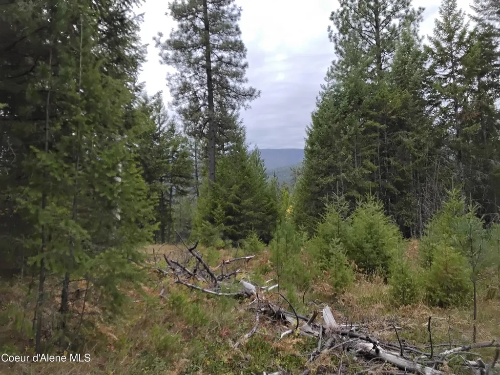 NKA-292 Ac Highway 2 Moyie Springs ID 83845