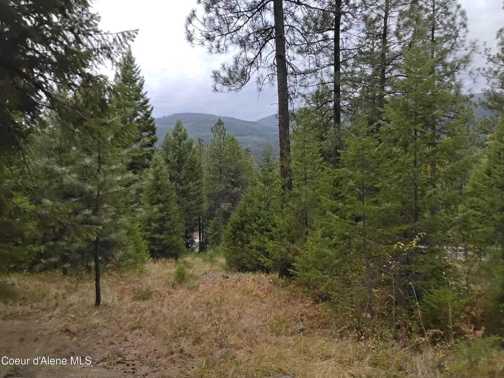 NKA-292 Ac Highway 2 Moyie Springs ID 83845