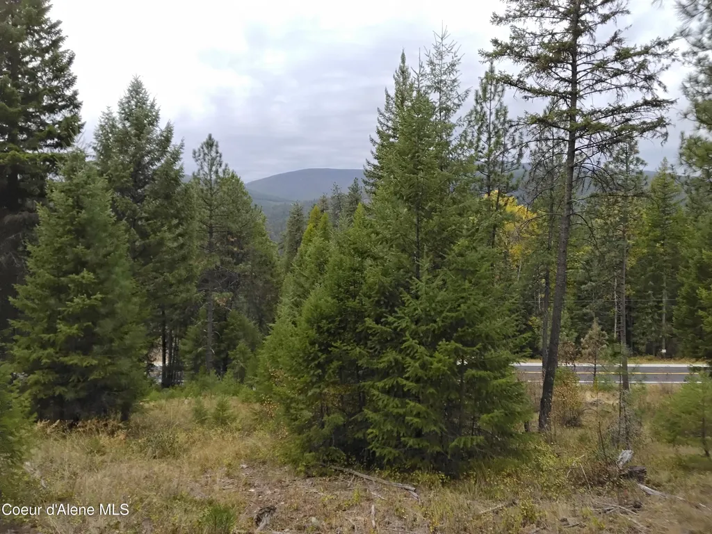 NKA-292 Ac Highway 2 Moyie Springs ID 83845