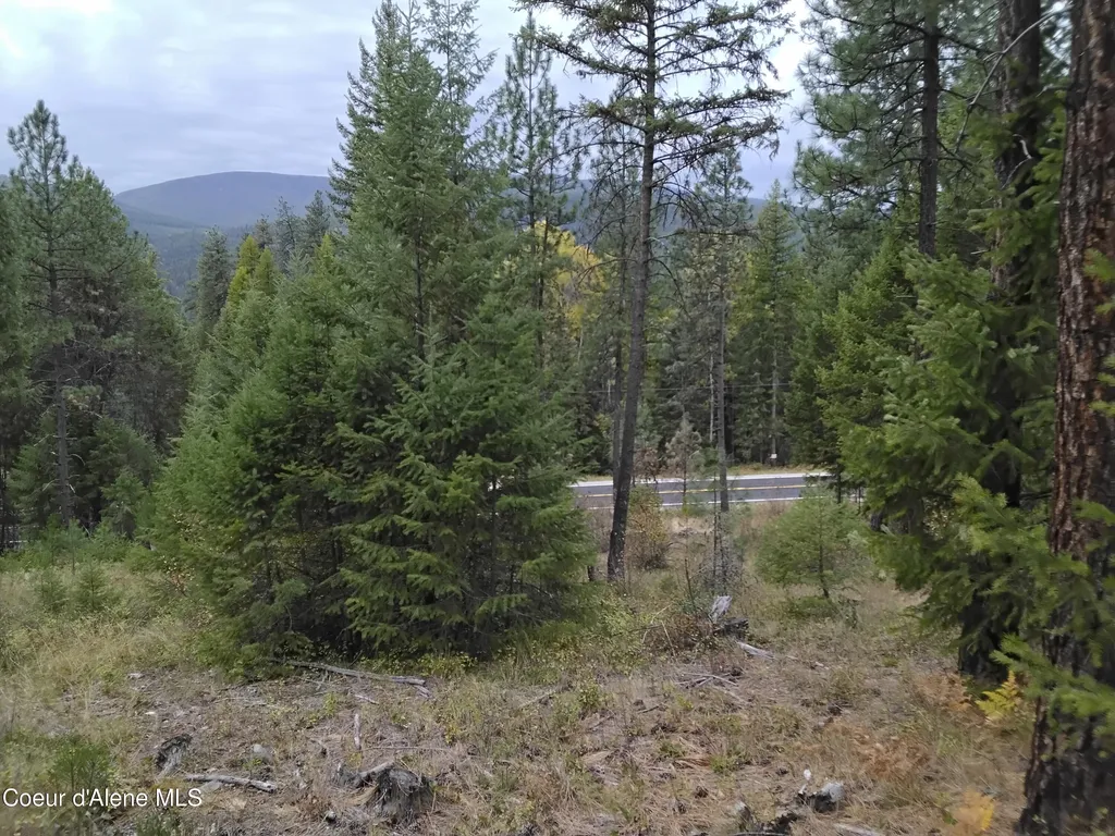 NKA-292 Ac Highway 2 Moyie Springs ID 83845