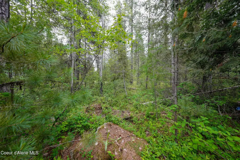124 N Ryan Road Priest Lake ID 83856