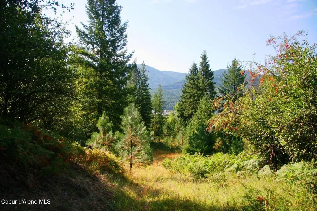 1985 Southfork Ridge Road Smelterville ID 83868