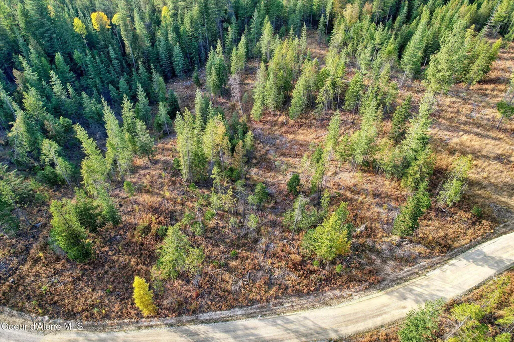 Lot 2 Pioneer Lane Priest River ID 83856