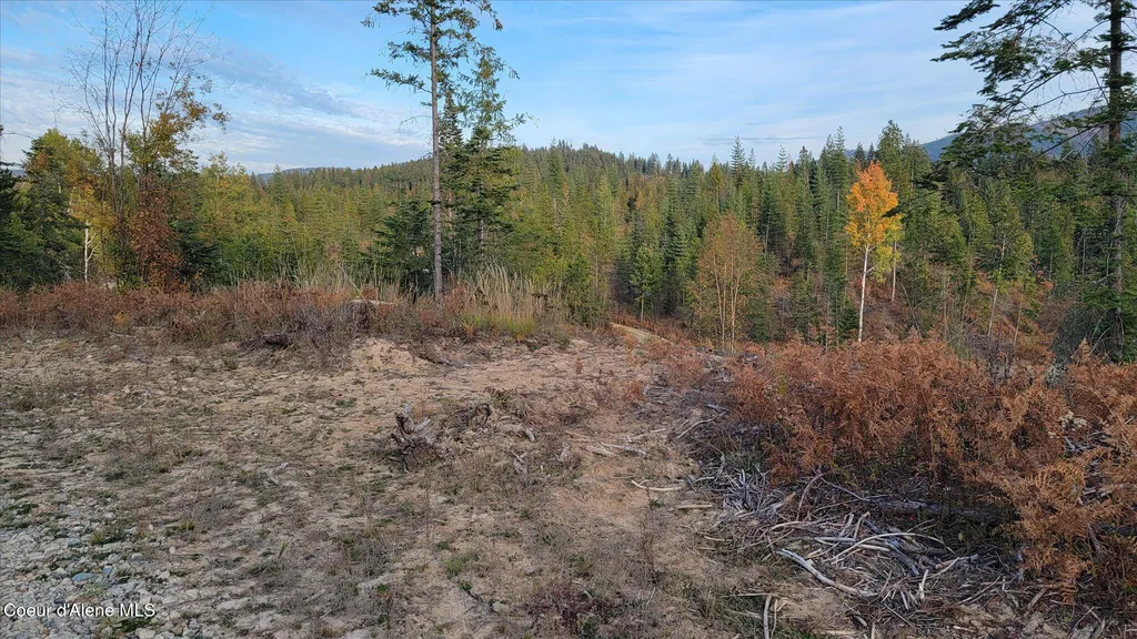Lot 2 Pioneer Lane Priest River ID 83856