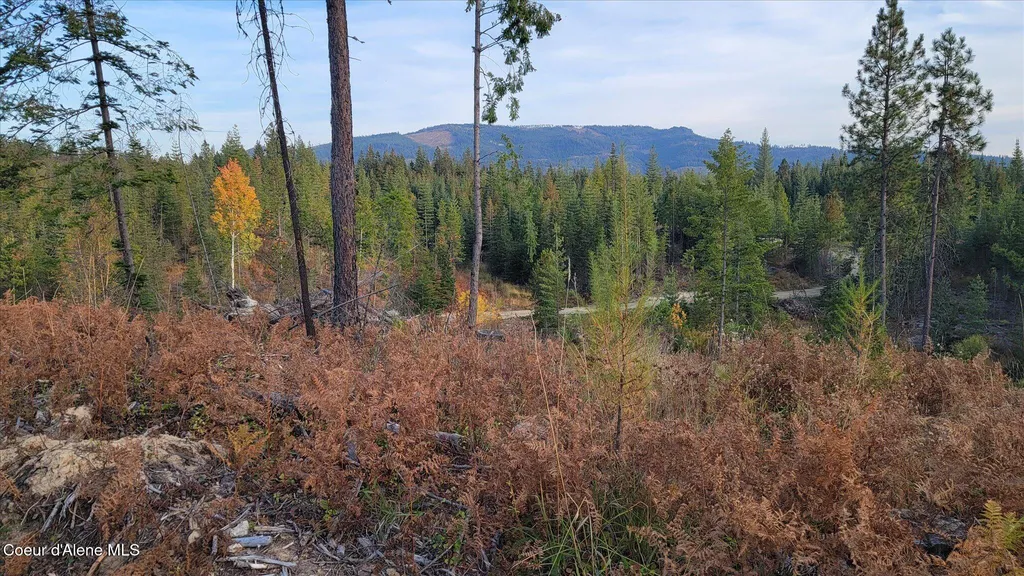 Lot 2 Pioneer Lane Priest River ID 83856