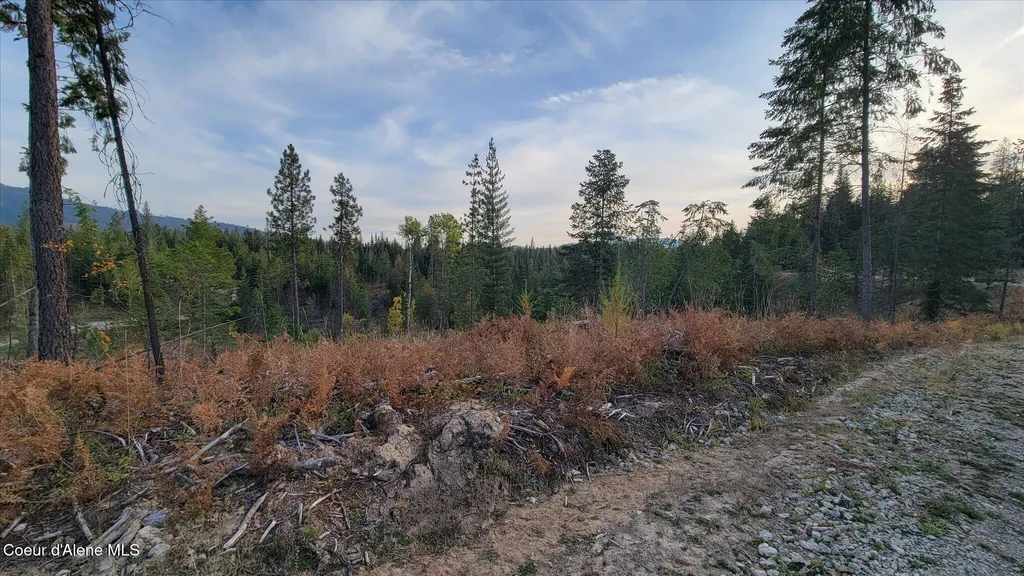 Lot 2 Pioneer Lane Priest River ID 83856
