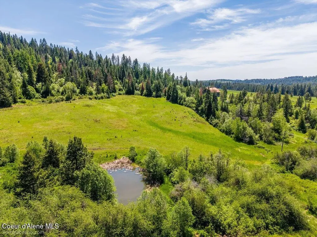 Tract E Thimbleberry Lane Plummer ID 83851
