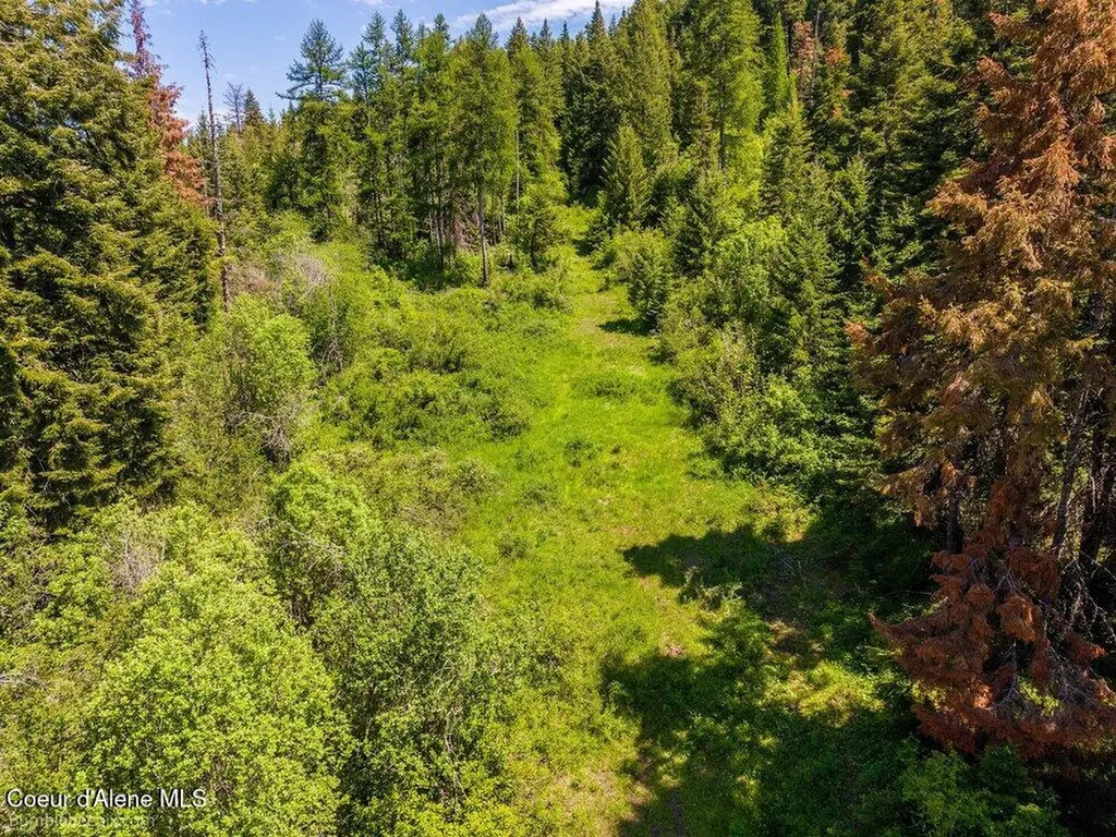 Tract E Thimbleberry Lane Plummer ID 83851