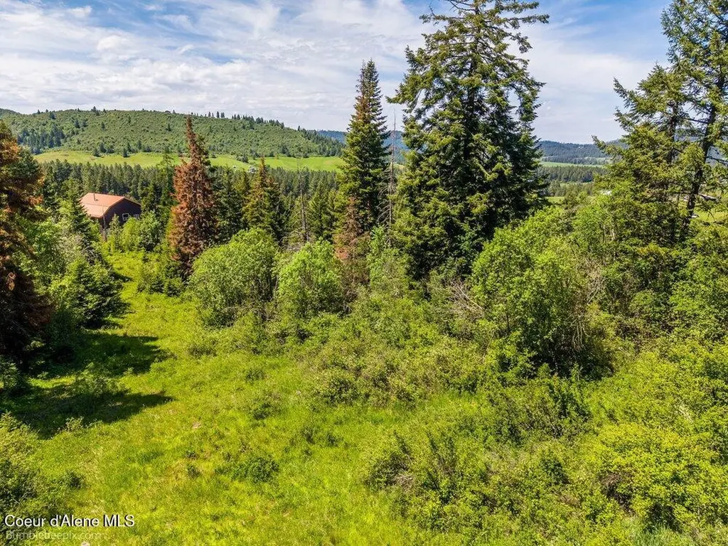 Tract E Thimbleberry Lane Plummer ID 83851