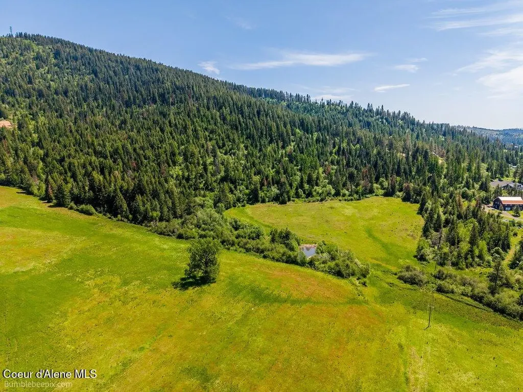 Tract E Thimbleberry Lane Plummer ID 83851