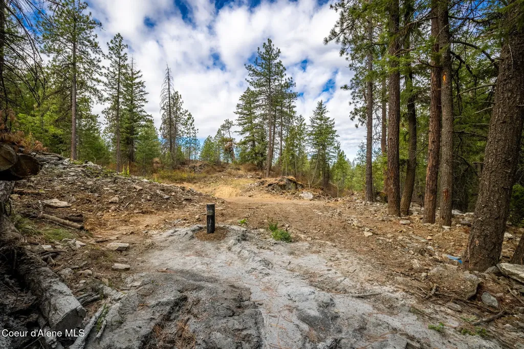 371 S Ironwood Lane Post Falls ID 83854