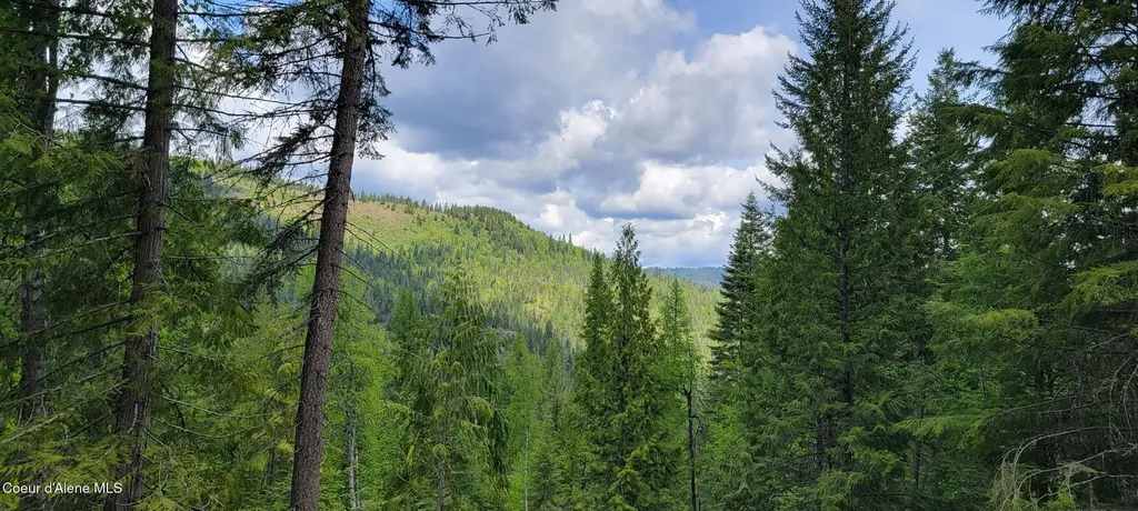 Nna Pup Paw Trail Priest River ID 83856