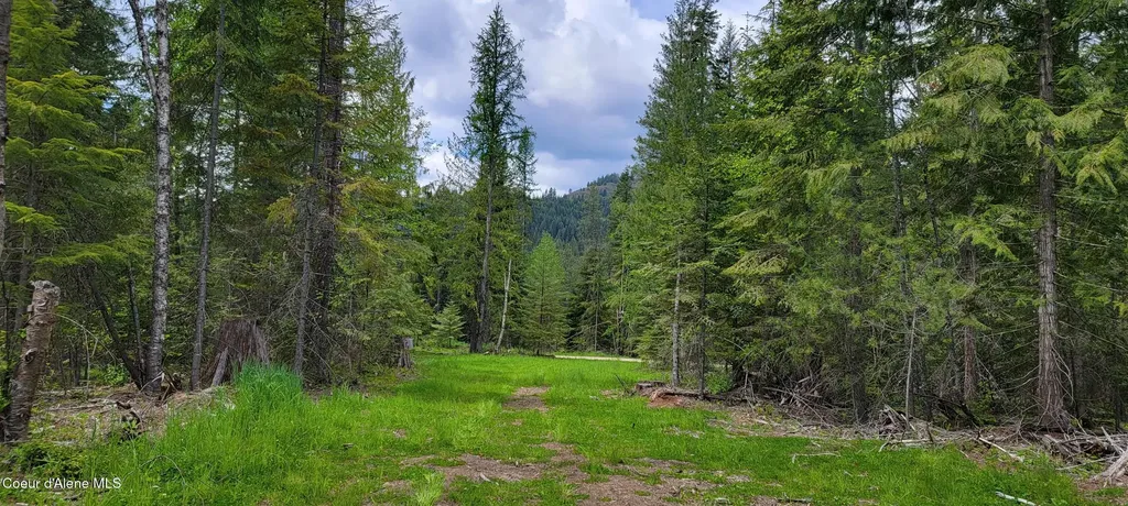 Nna Pup Paw Trail Priest River ID 83856
