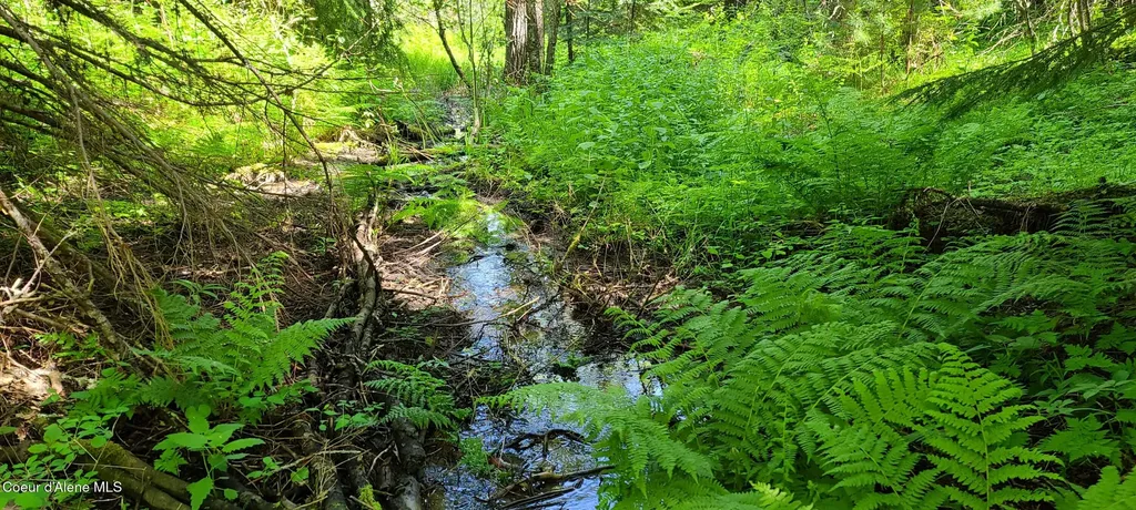 Nna Pup Paw Trail Priest River ID 83856