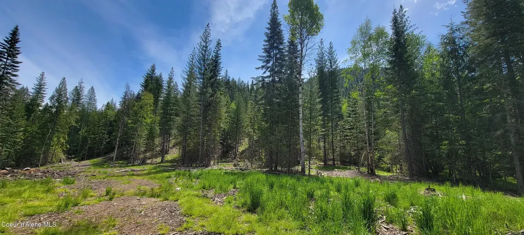 Nna Pup Paw Trail Priest River ID 83856