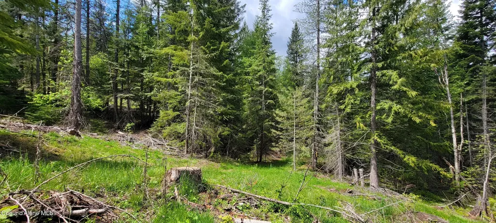 Nna Pup Paw Trail Priest River ID 83856