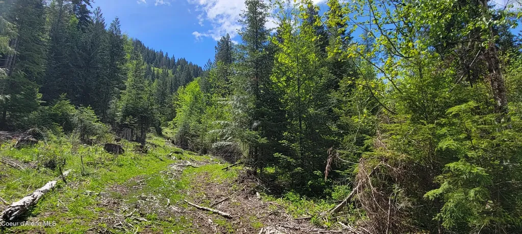 Nna Pup Paw Trail Priest River ID 83856