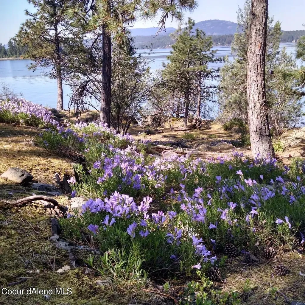 Cottage Island Hope ID 83836