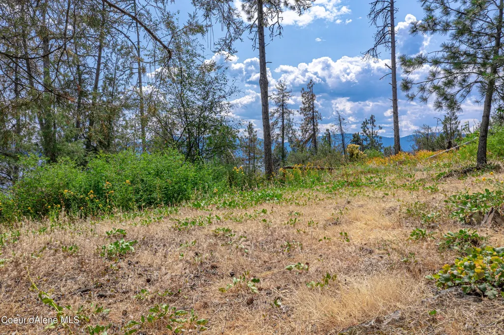 Cottage Island Hope ID 83836