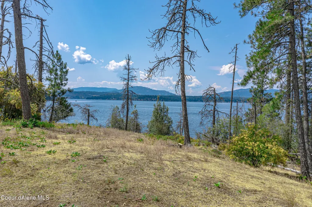 Cottage Island Hope ID 83836