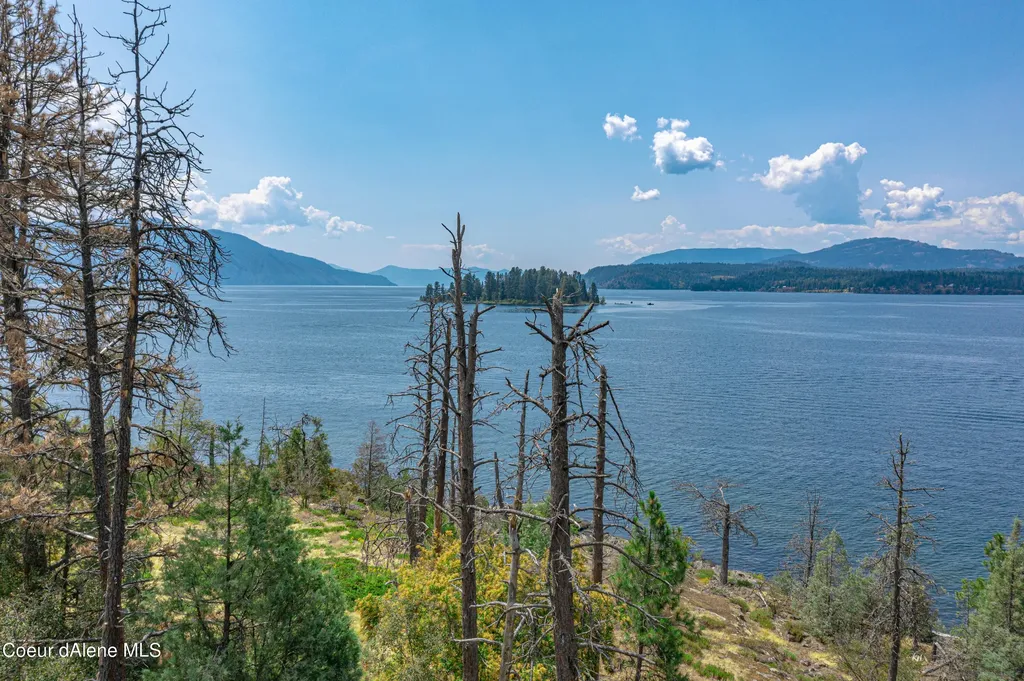 Cottage Island Hope ID 83836