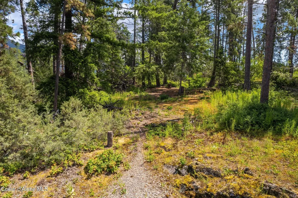 Cottage Island Hope ID 83836