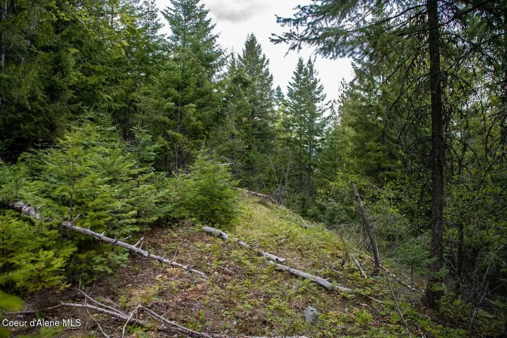 89 Lynx Run Road Sagle ID 83860