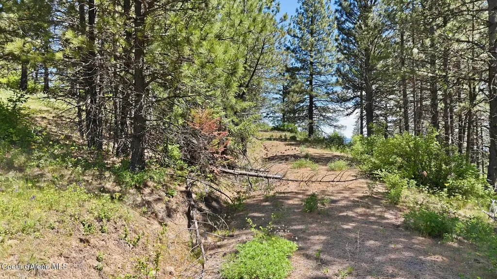 Nna S Aurora Lane Worley ID 83876