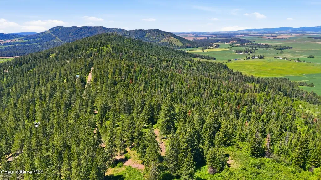 Nna S Aurora Lane Worley ID 83876